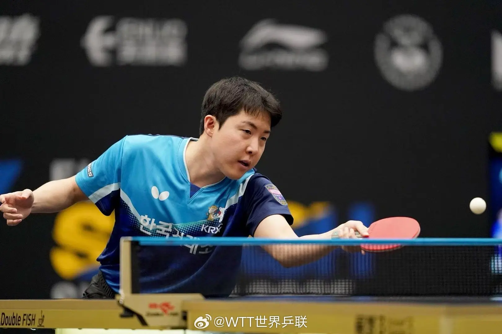 AA, 法国的费利, artic AA, 法国的费利, artic